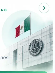 Distribuidor a Gobierno